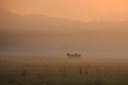 BUITEN BEELD Foto: 174665