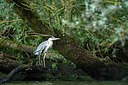 BUITEN BEELD Foto: 174846