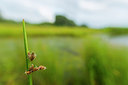 BUITEN BEELD Foto: 174863