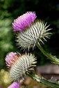 BUITEN BEELD Foto: 175189