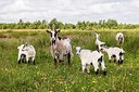BUITEN BEELD Foto: 175253