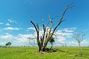 BUITEN BEELD Foto: 175266