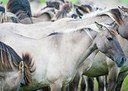 BUITEN BEELD Foto: 175289