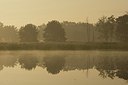 BUITEN BEELD Foto: 175333