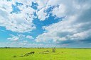 BUITEN BEELD Foto: 175370