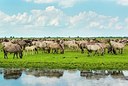 BUITEN BEELD Foto: 175373