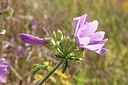 BUITEN BEELD Foto: 175605