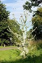 BUITEN BEELD Foto: 175635