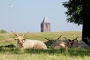 BUITEN BEELD Foto: 175659