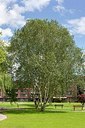 BUITEN BEELD Foto: 175708