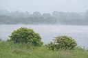 BUITEN BEELD Foto: 175918