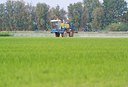 BUITEN BEELD Foto: 176237