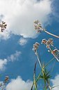 BUITEN BEELD Foto: 176242