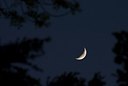 BUITEN BEELD Foto: 176262