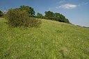BUITEN BEELD Foto: 176264