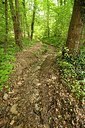 BUITEN BEELD Foto: 176298