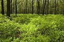 BUITEN BEELD Foto: 176311