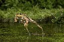 BUITEN BEELD Foto: 176321
