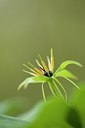 BUITEN BEELD Foto: 176359