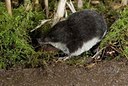 BUITEN BEELD Foto: 176386