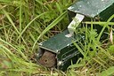 BUITEN BEELD Foto: 176398