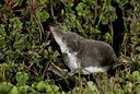 BUITEN BEELD Foto: 176403