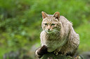 BUITEN BEELD Foto: 176439