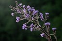 BUITEN BEELD Foto: 176523