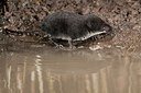 BUITEN BEELD Foto: 176530