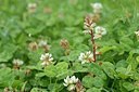 BUITEN BEELD Foto: 176562