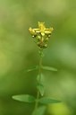 BUITEN BEELD Foto: 176581