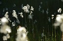 BUITEN BEELD Foto: 176616