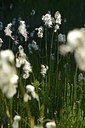 BUITEN BEELD Foto: 176617
