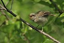 BUITEN BEELD Foto: 176683