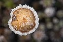 BUITEN BEELD Foto: 176693