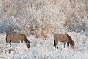 BUITEN BEELD Foto: 176706