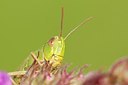 BUITEN BEELD Foto: 176771