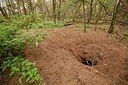 BUITEN BEELD Foto: 176780