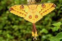 BUITEN BEELD Foto: 176880