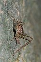 BUITEN BEELD Foto: 176961