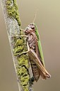BUITEN BEELD Foto: 177016