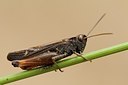BUITEN BEELD Foto: 177032
