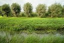 BUITEN BEELD Foto: 177049