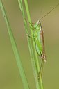 BUITEN BEELD Foto: 177089
