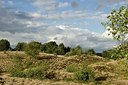 BUITEN BEELD Foto: 177159