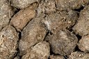 BUITEN BEELD Foto: 177183