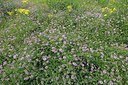 BUITEN BEELD Foto: 177235