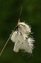 BUITEN BEELD Foto: 177299