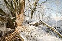 BUITEN BEELD Foto: 177477