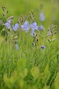 BUITEN BEELD Foto: 177576